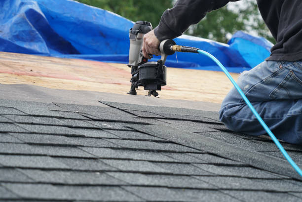 Professional Roofing Contractor in Pine Canyon, CA